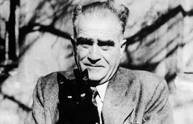 ÖSYM’nin Sormayı Sevdiği Romanlar: Ahmet Hamdi Tanpınar